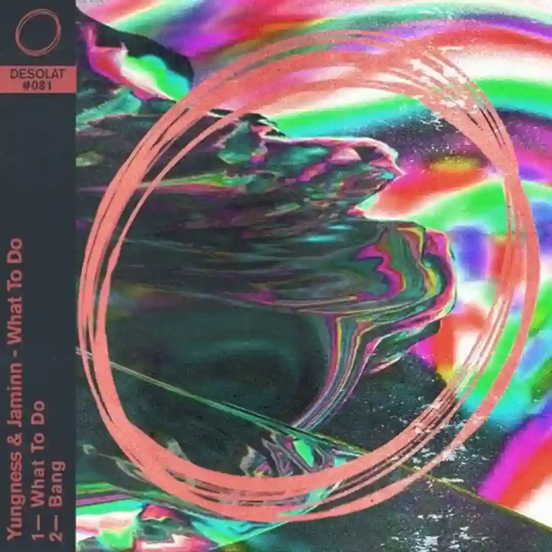 What To Do (Original Mix) cover