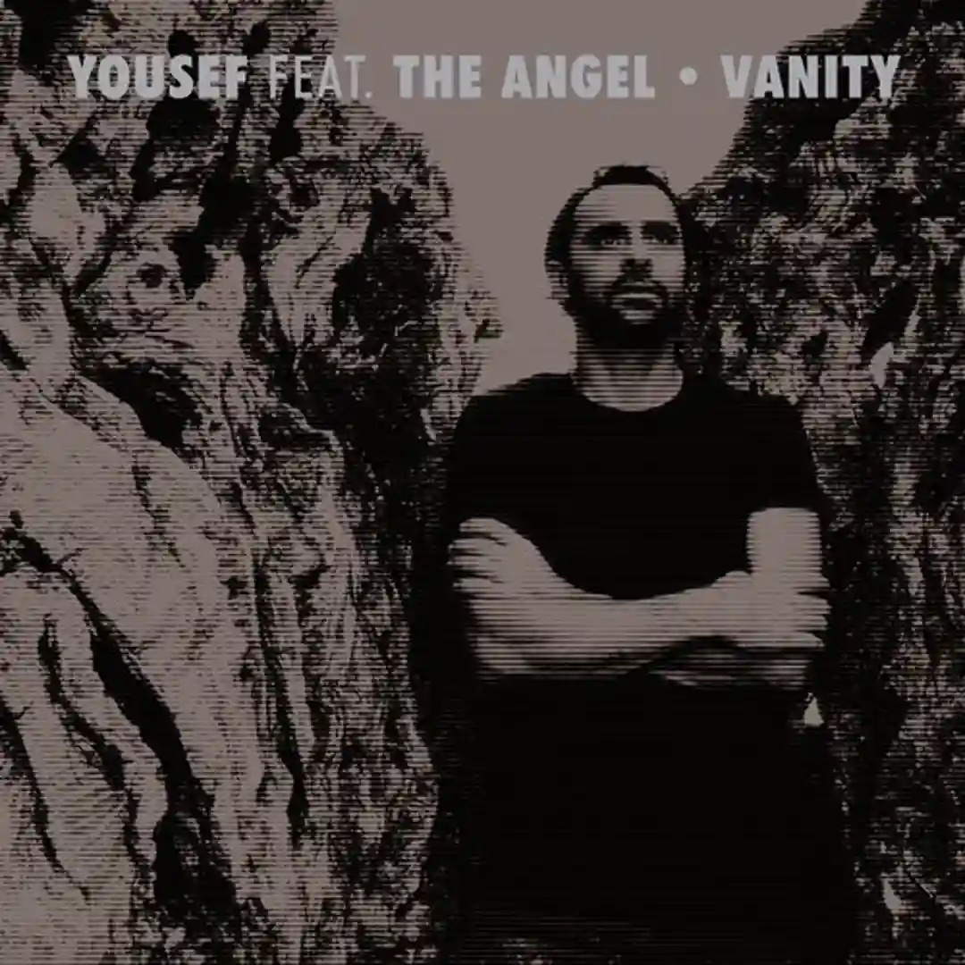 Vanity feat. The Angel (Bontan Remix) cover