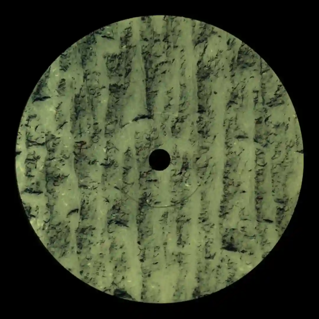 Linting (Original Mix) cover