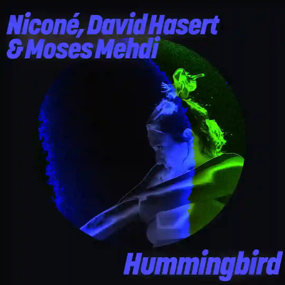 Hummingbird (Original Mix) cover