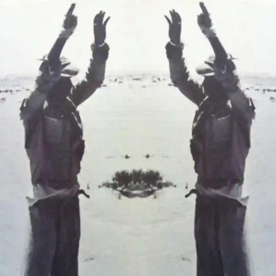 WOLFEP022 cover