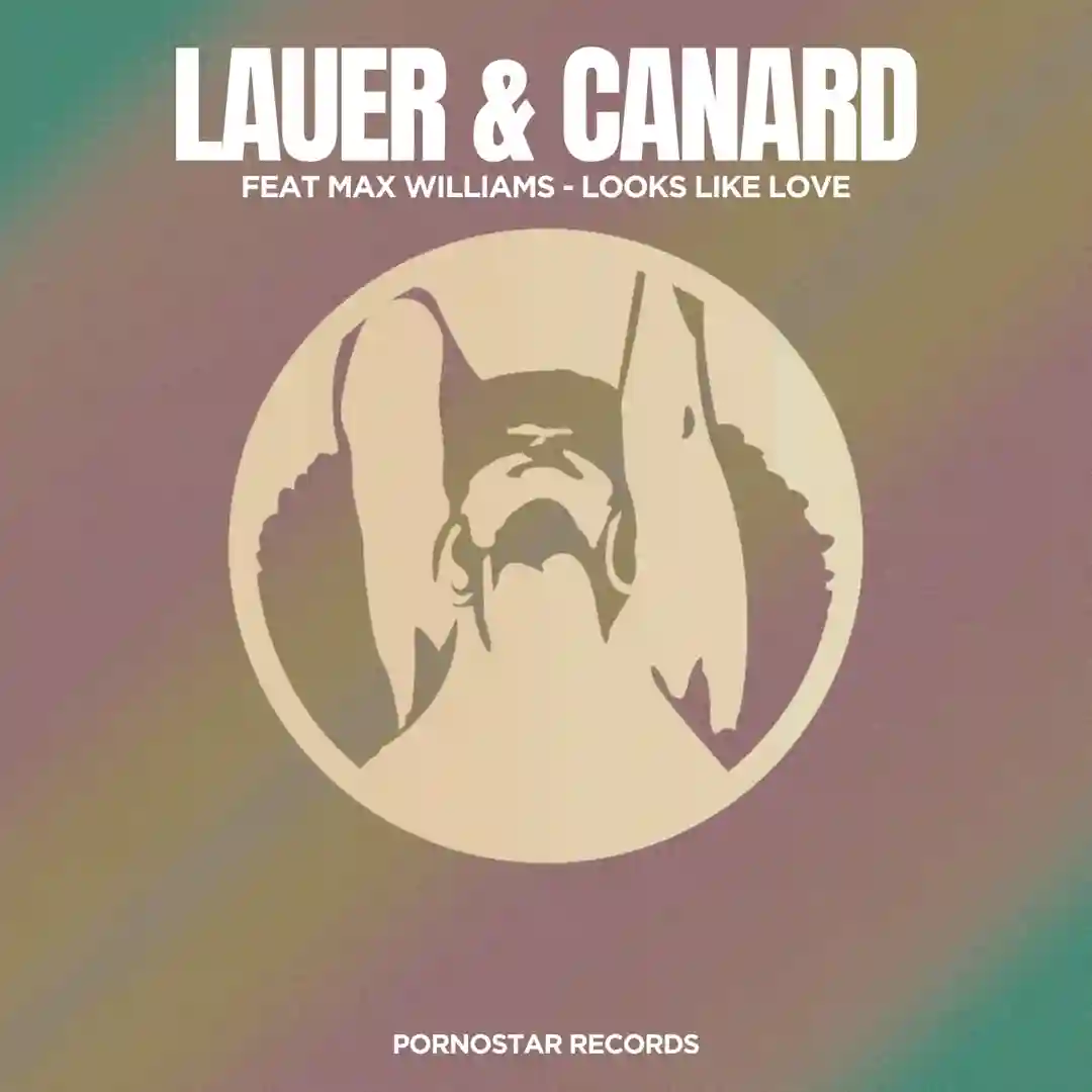 Looks like Love (Original Mix) cover