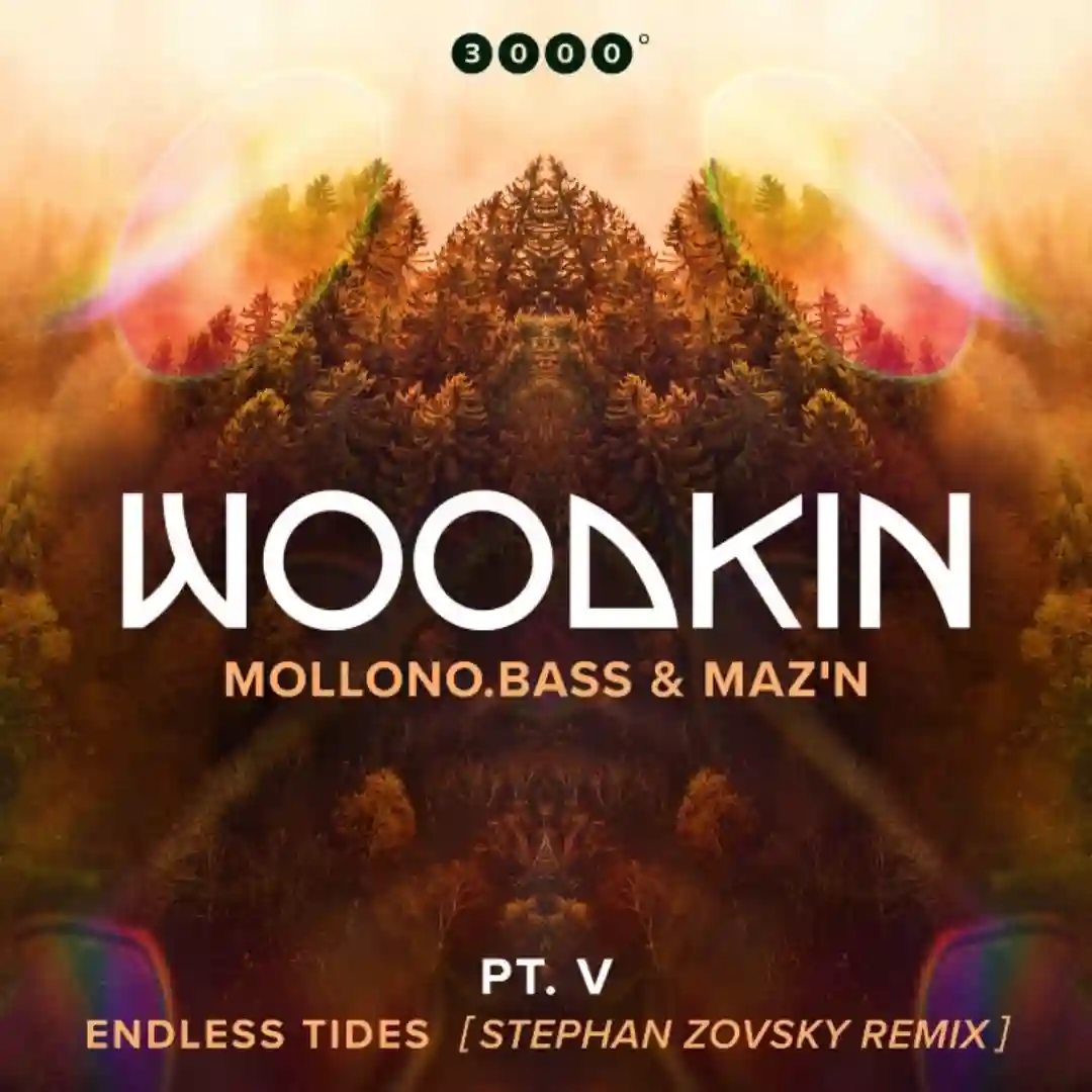 Endless Tides (Stephan Zovsky Extended Remix) cover