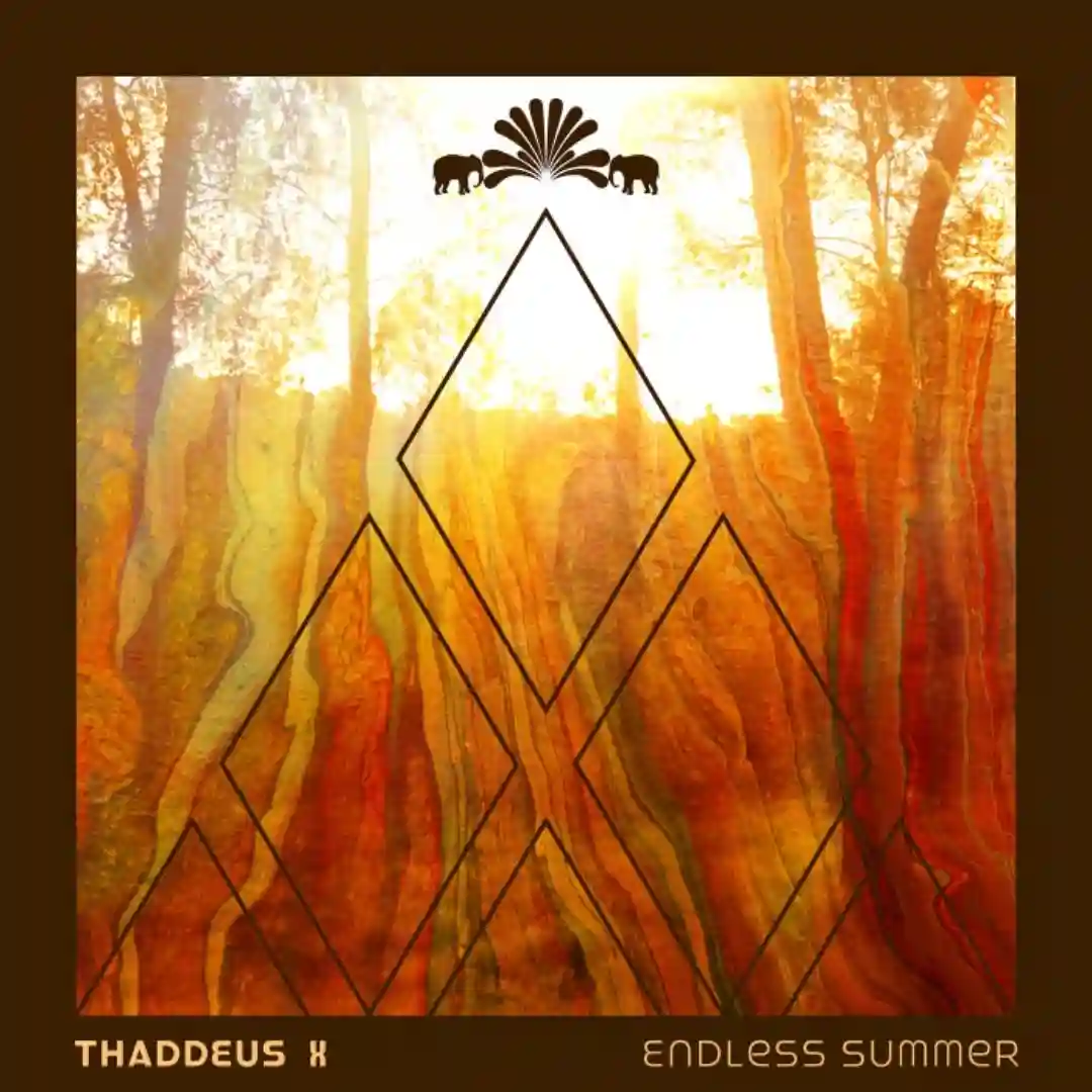 Endless Summer cover