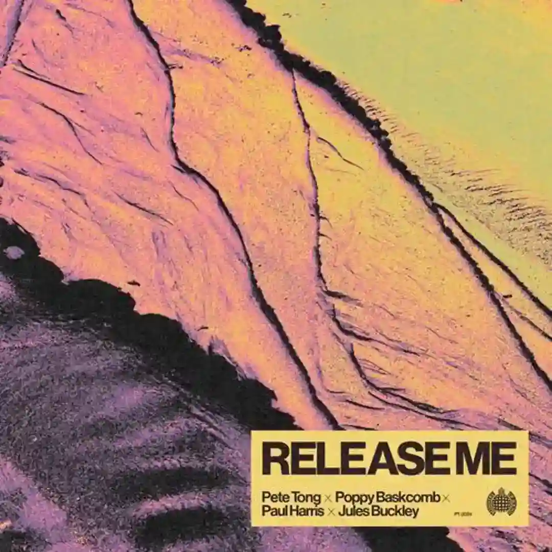 Release Me (Club Mix) cover