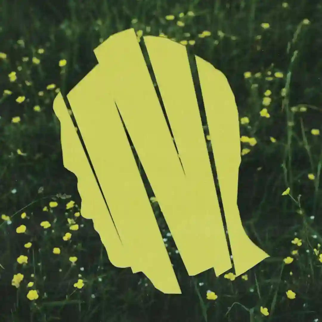 Overgrown cover