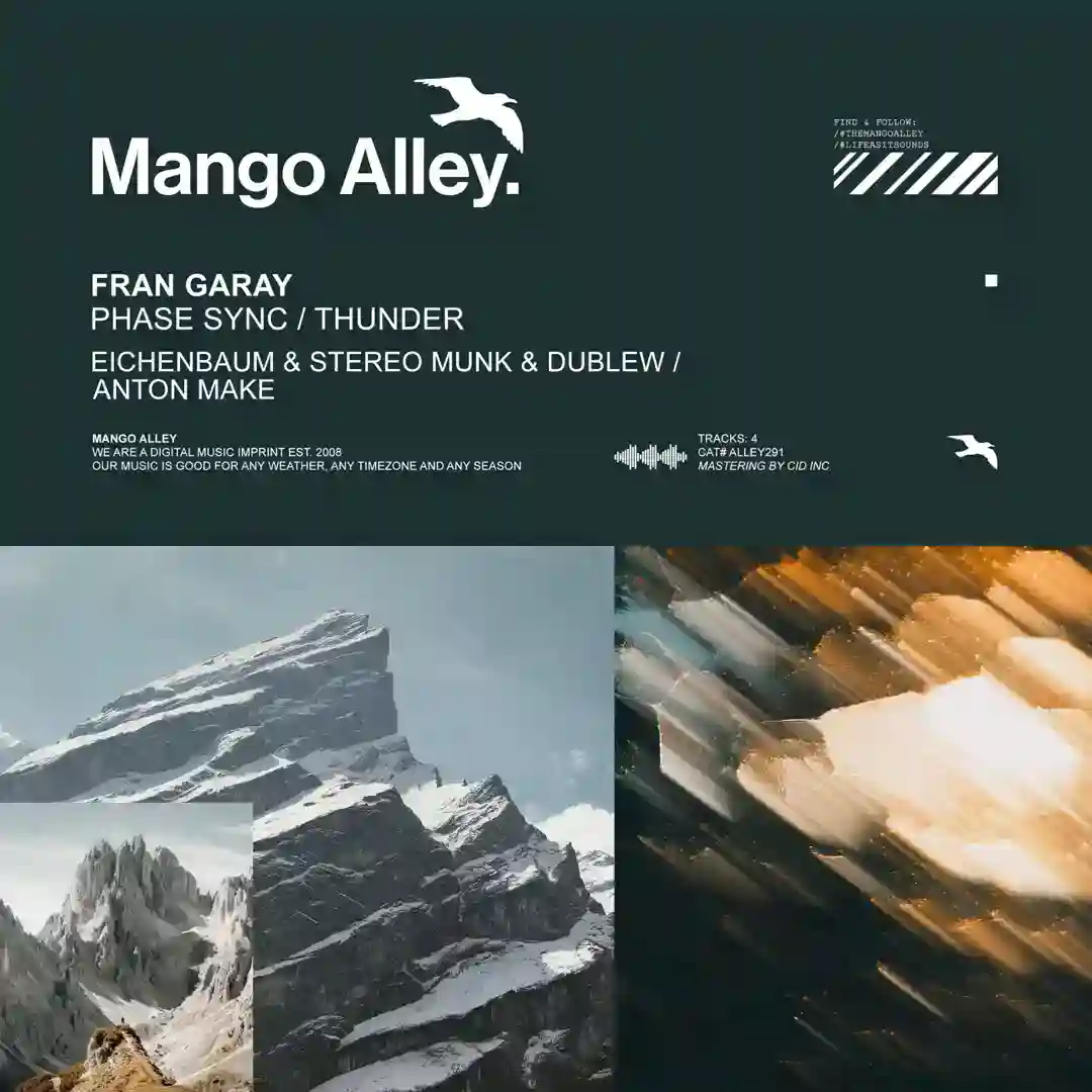 Phase Sync (Eichenbaum & STEREO MUNK & Dublew Remix) cover