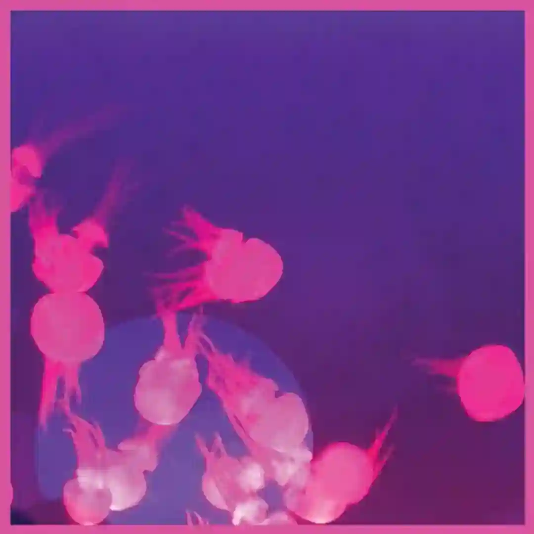 Moogie (Original Mix) cover