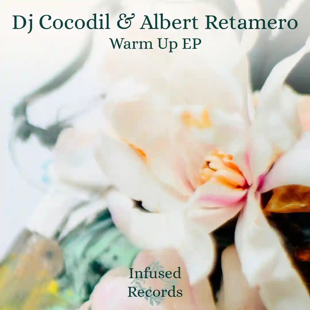 Into the River (Original Mix) cover