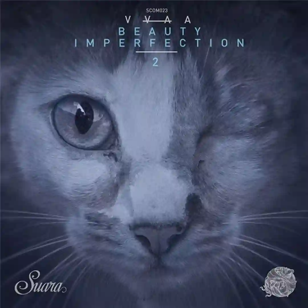 Frequencies (Original Mix) cover