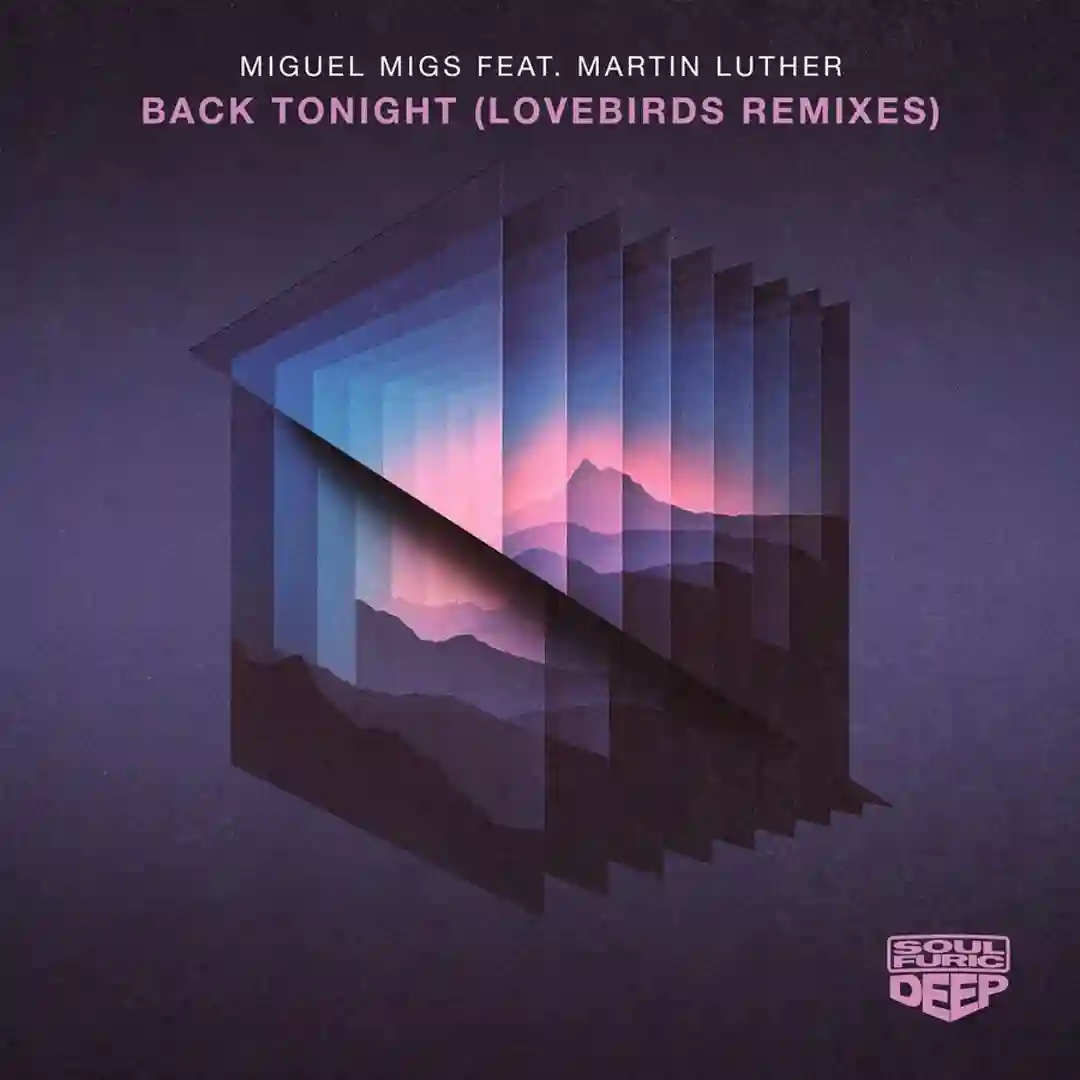 Back Tonight (feat. Martin Luther) (Lovebirds Fly Away Extended Mix) cover