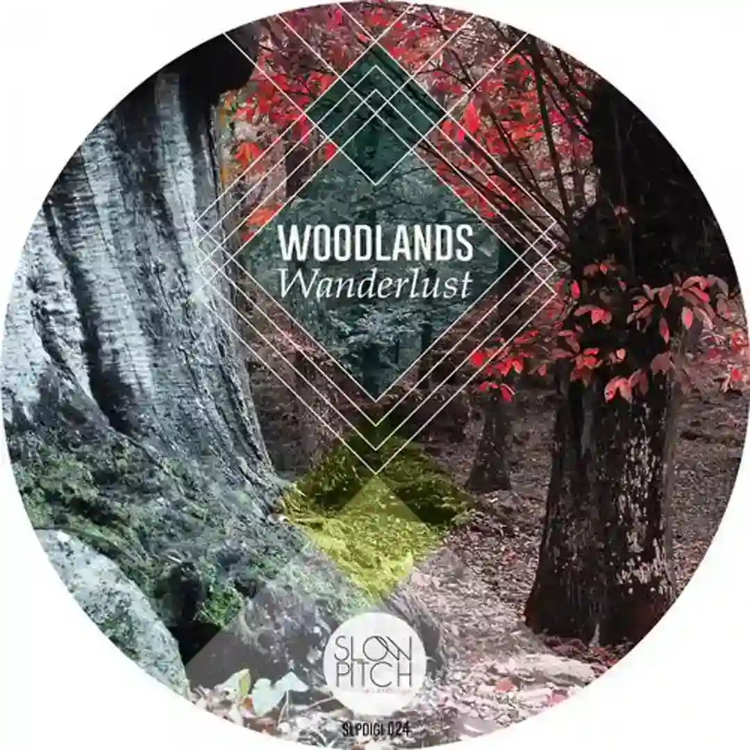 Woodlands (Original Mix) cover