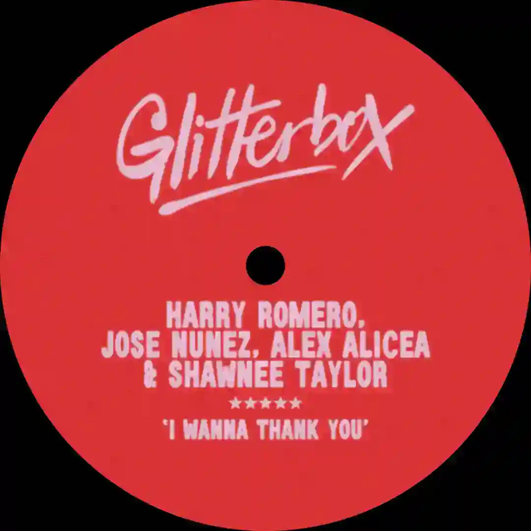 I Wanna Thank You - Extended Mix cover