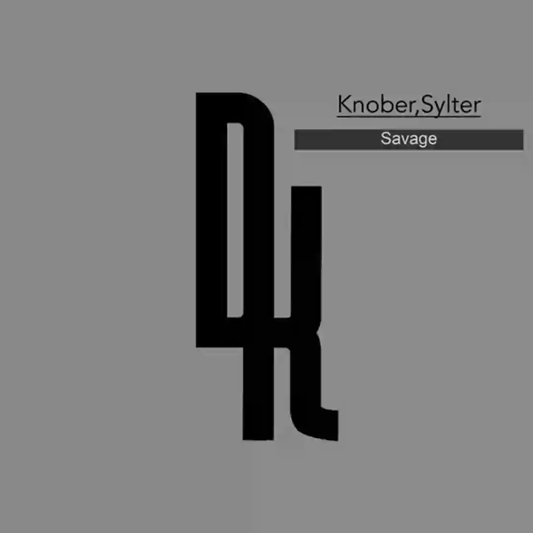 Savage (Original Mix) cover