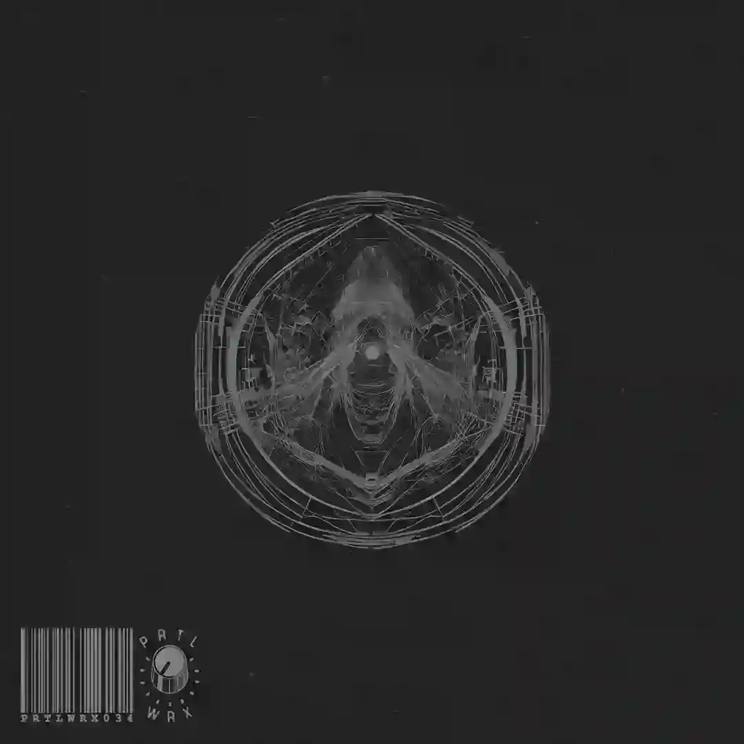 Torpor (Original Mix) cover