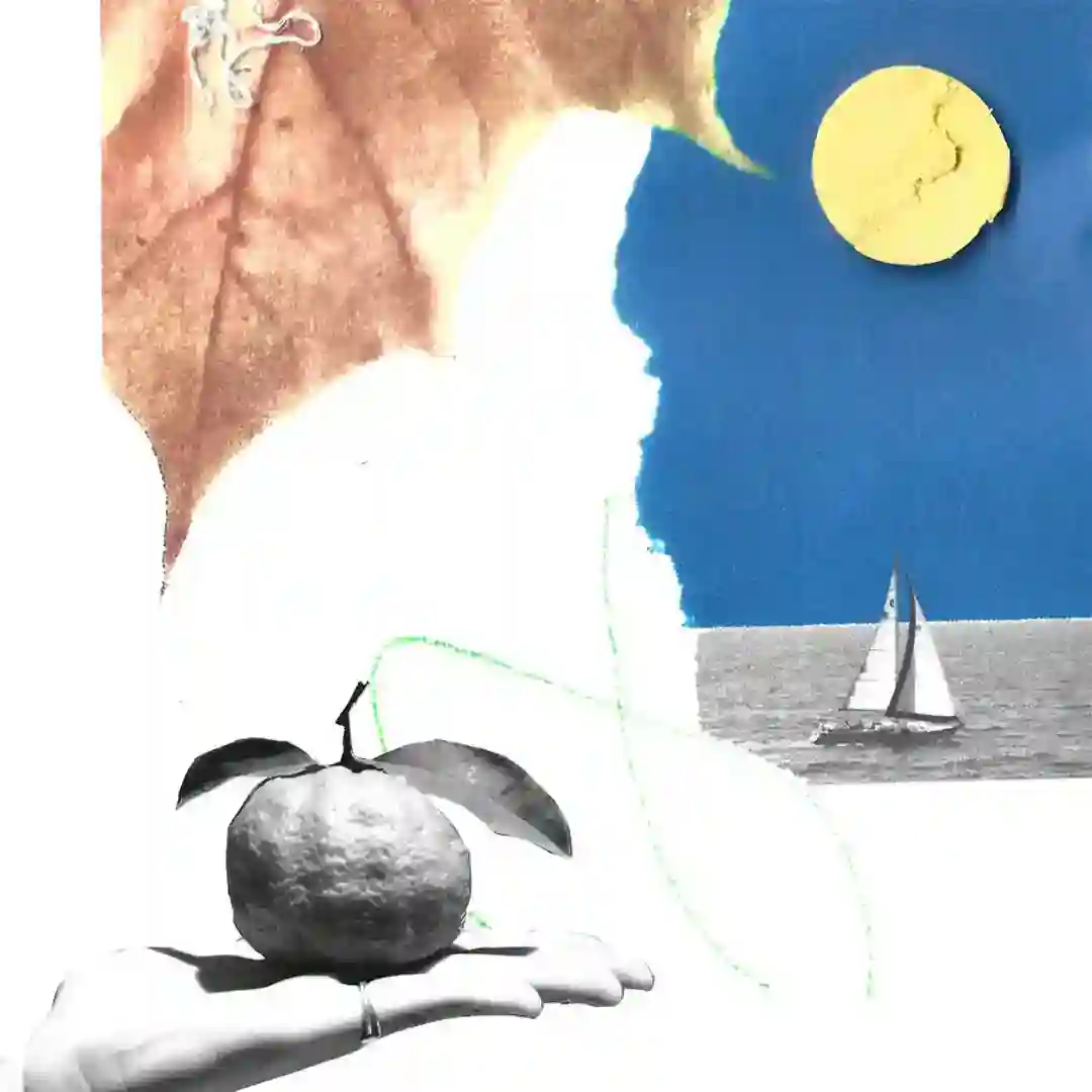 Trace Fossil cover