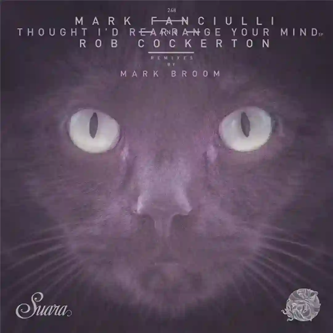 Voices In My Head (Original Mix) cover