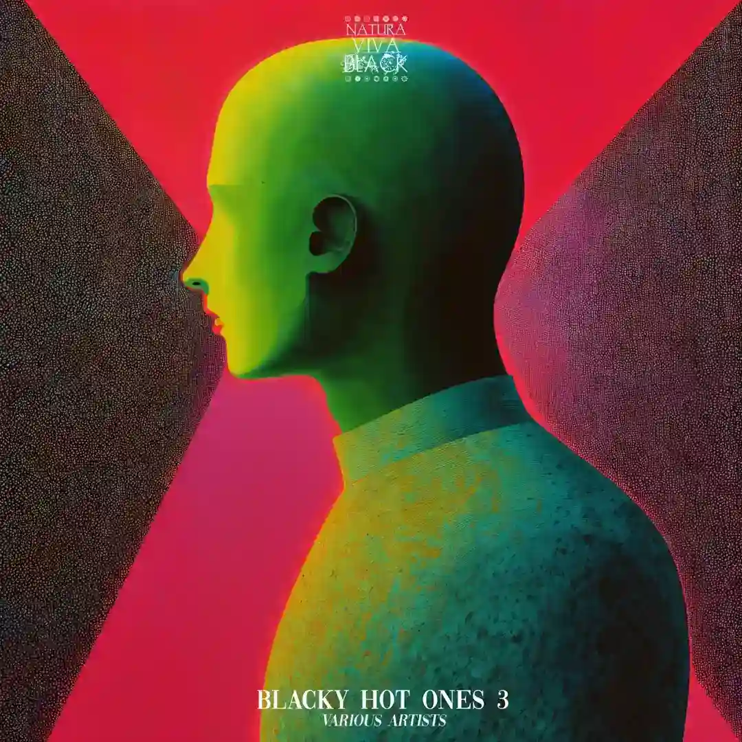 Panther (Format:B remix) cover