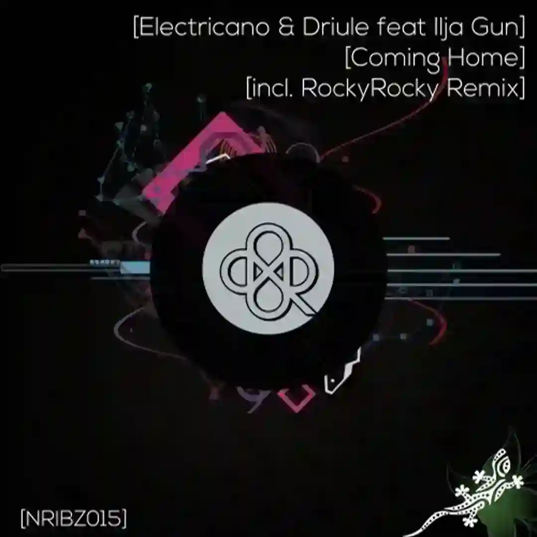 Coming Home (feat. Ilja Gun) (RockyRocky Remix) cover