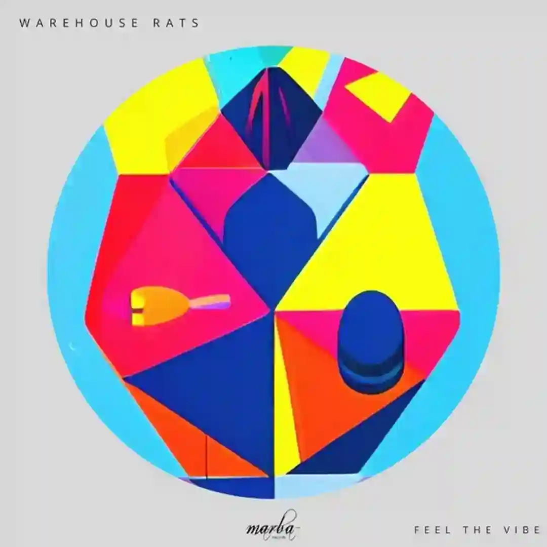 Feel The Vibe (Original Mix) cover