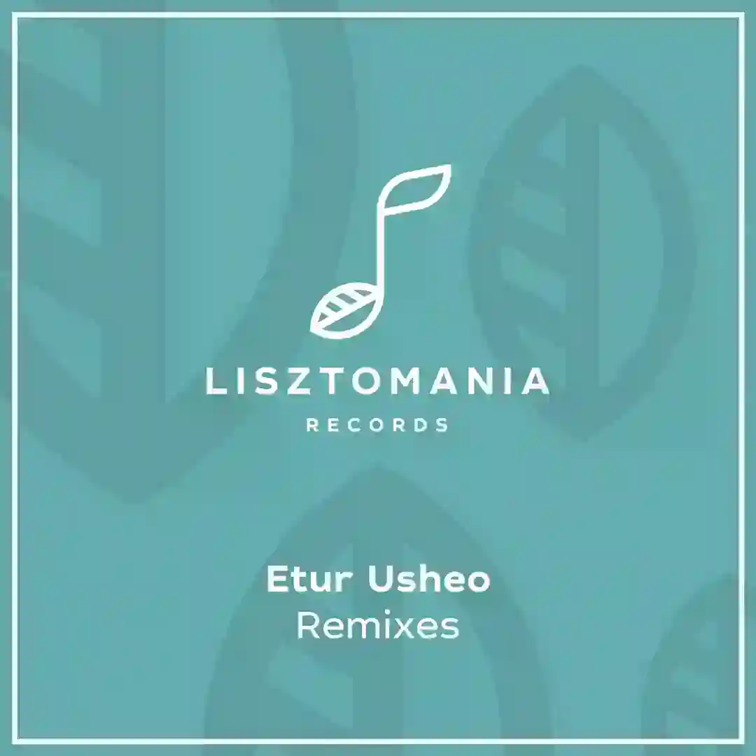 Remixes [LISZT262] cover
