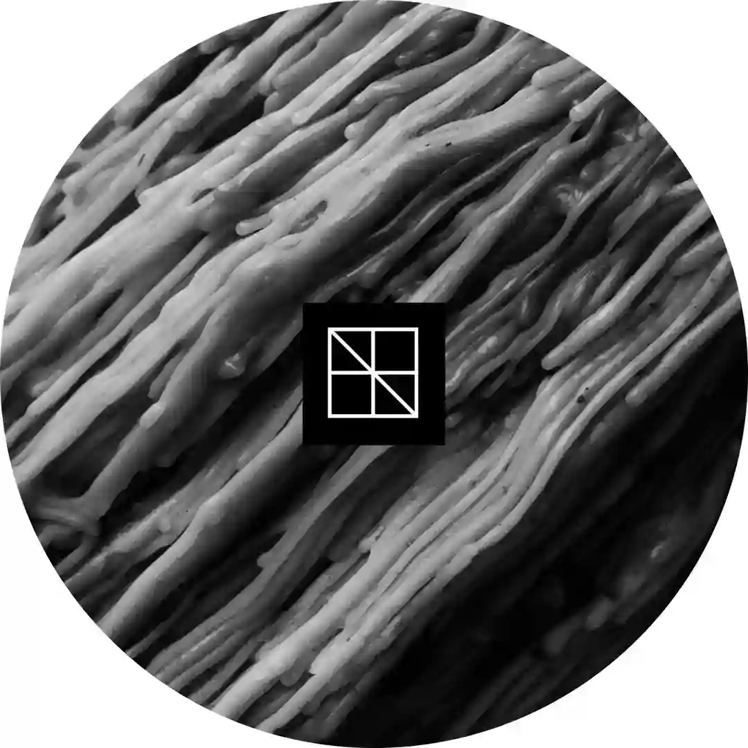 Time Screen (Original Mix) cover
