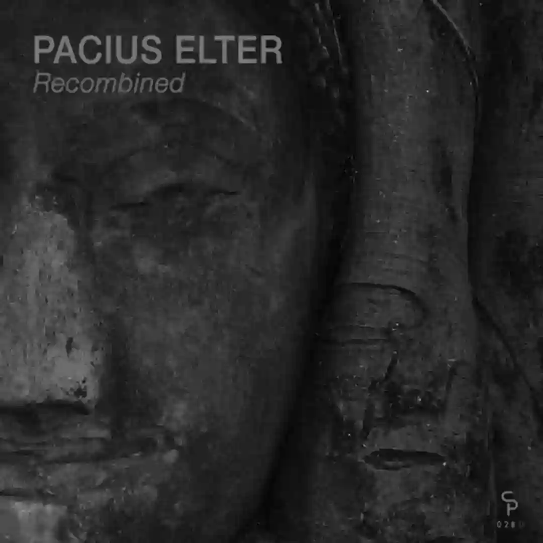 Recombined (Original Mix) cover