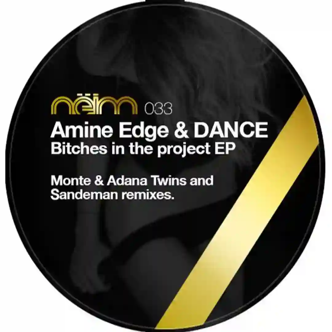 Bitches In The Project (Original Mix) cover