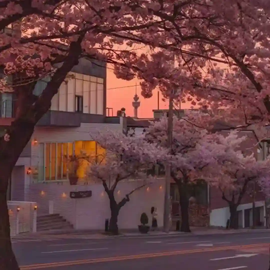 Blossom cover