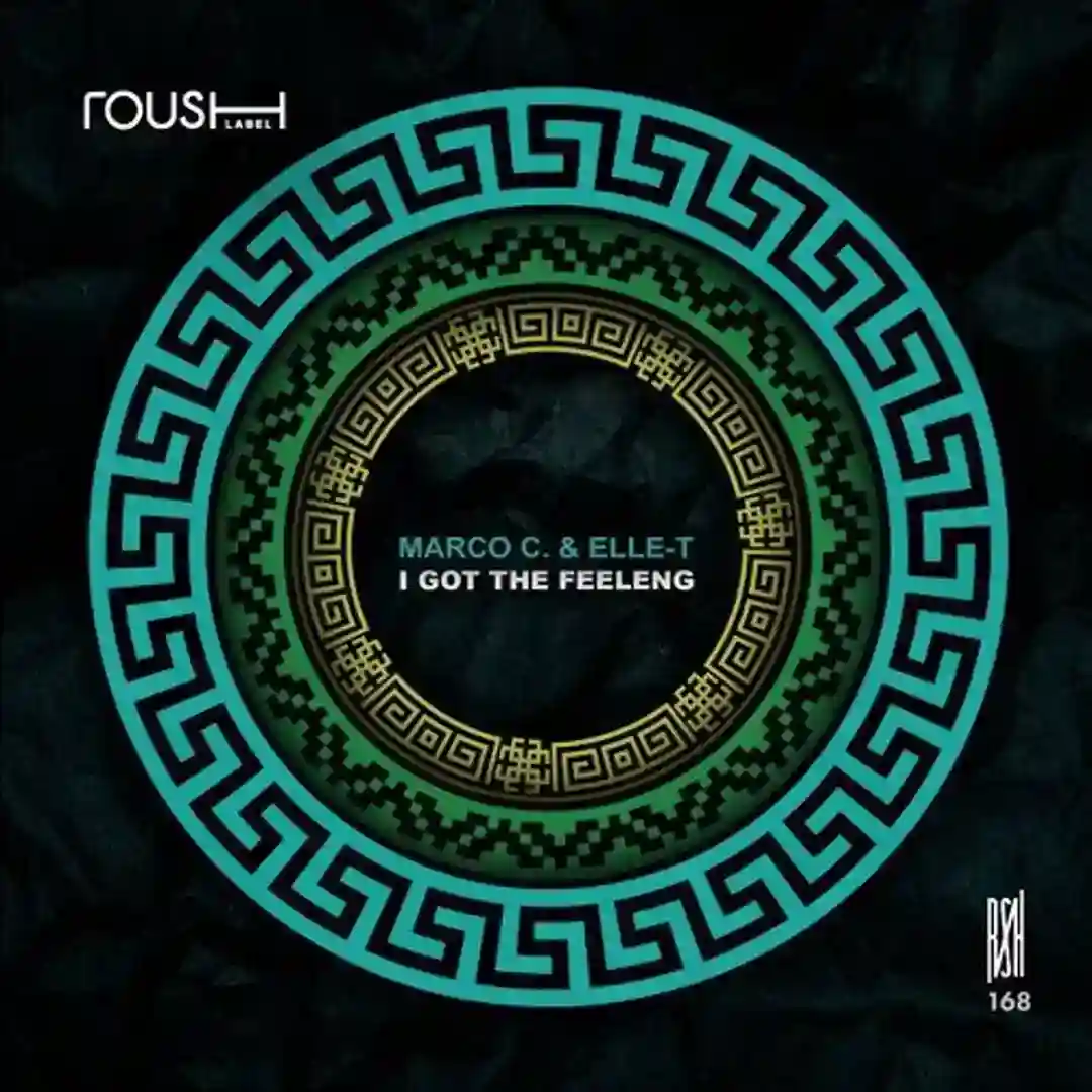 I Got The Feeleng cover