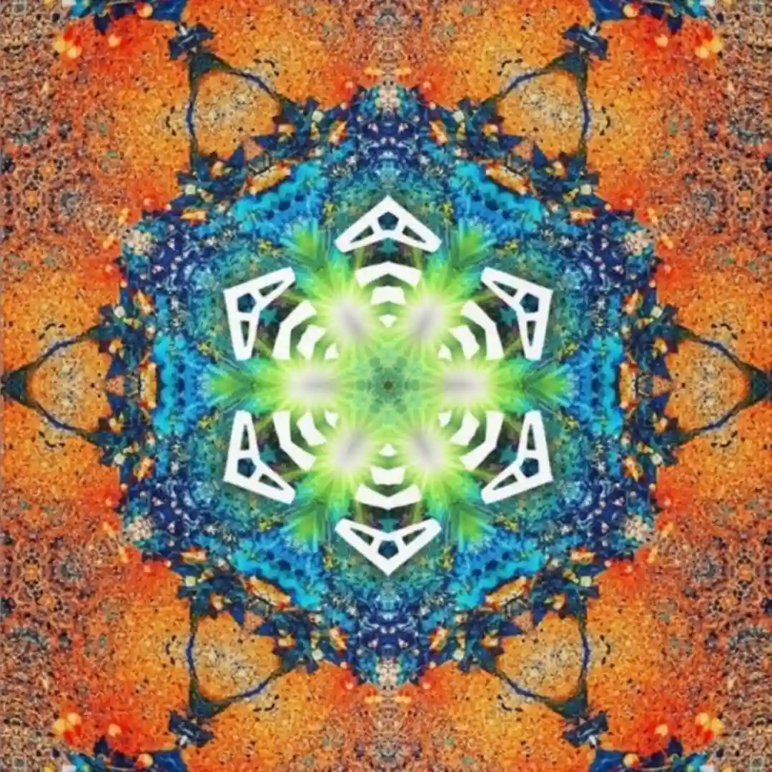 Dub Meditation cover