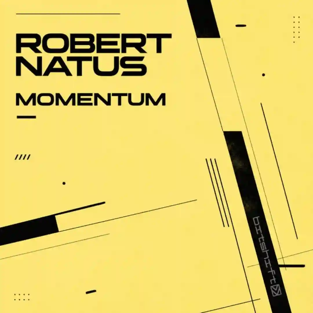 Momentum (Original Mix) cover