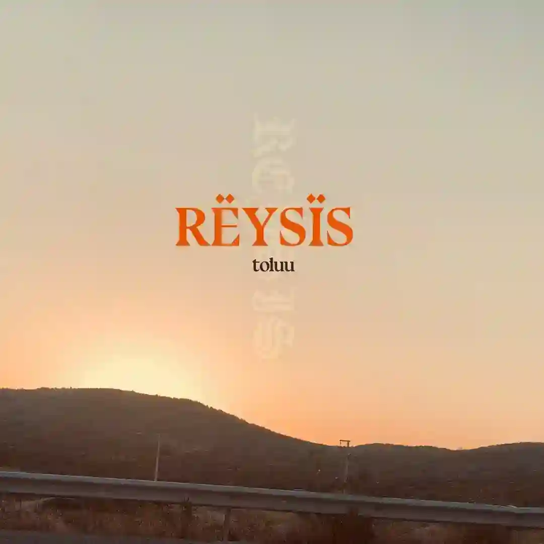 Toluu cover