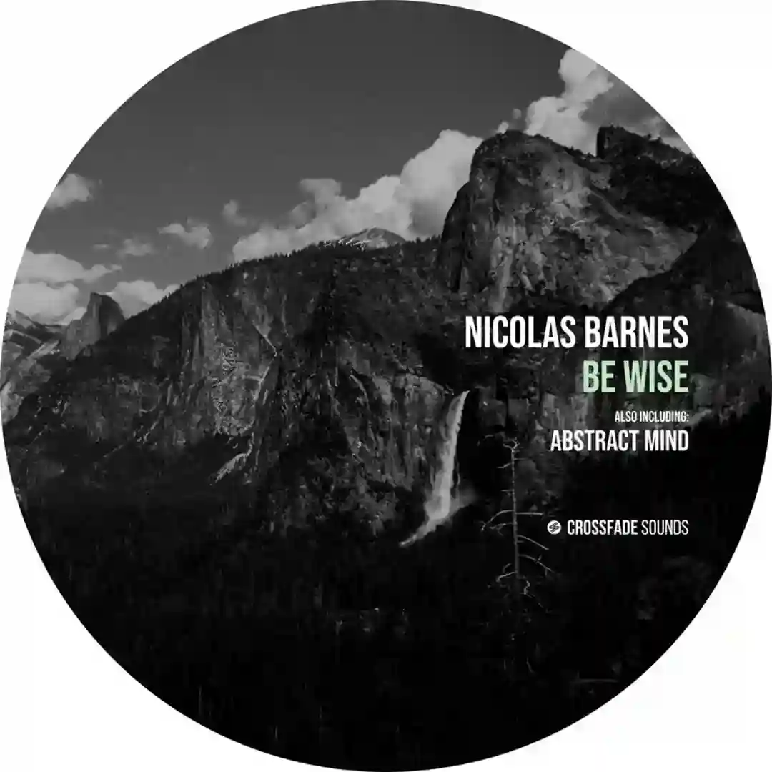 Be Wise cover