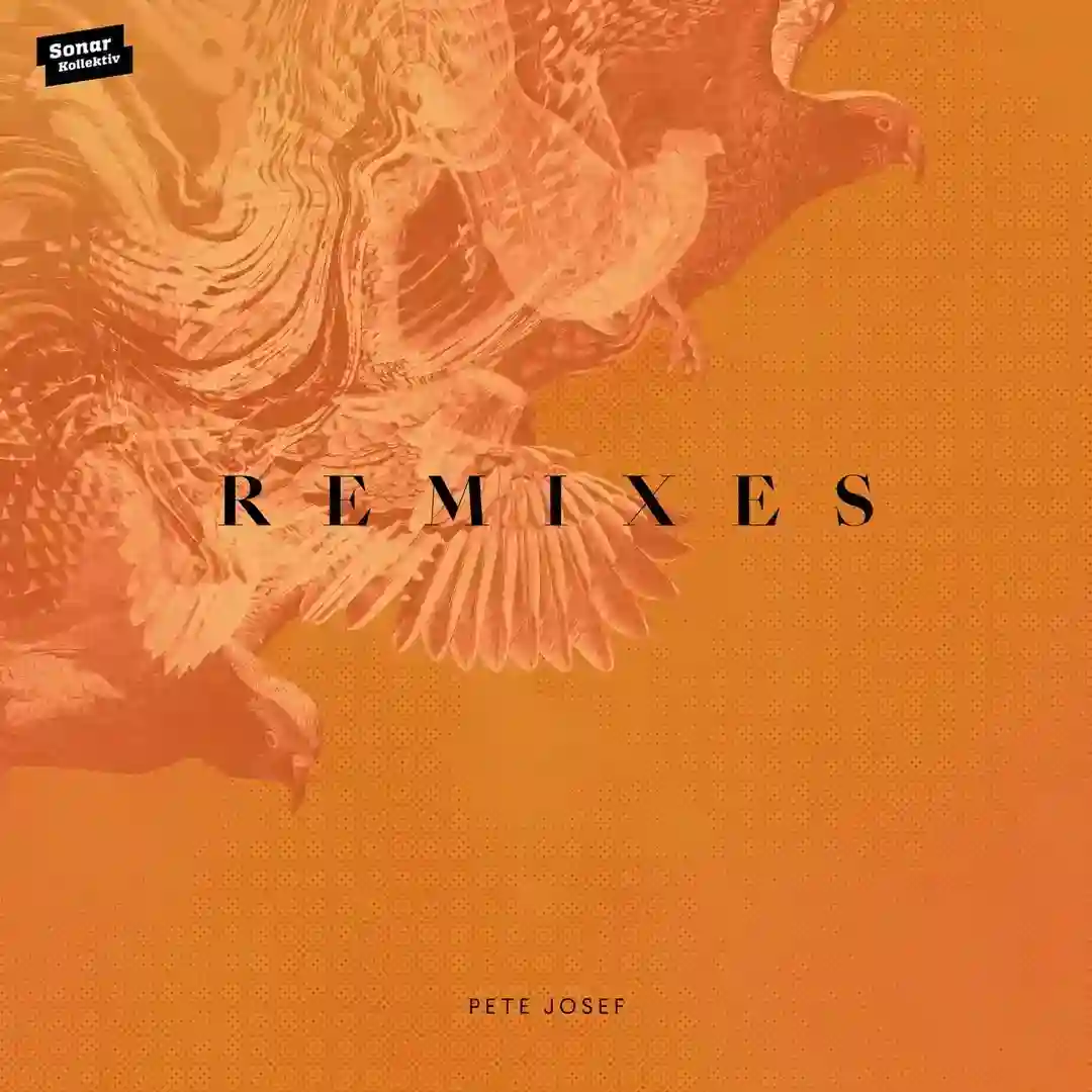 Remixes cover
