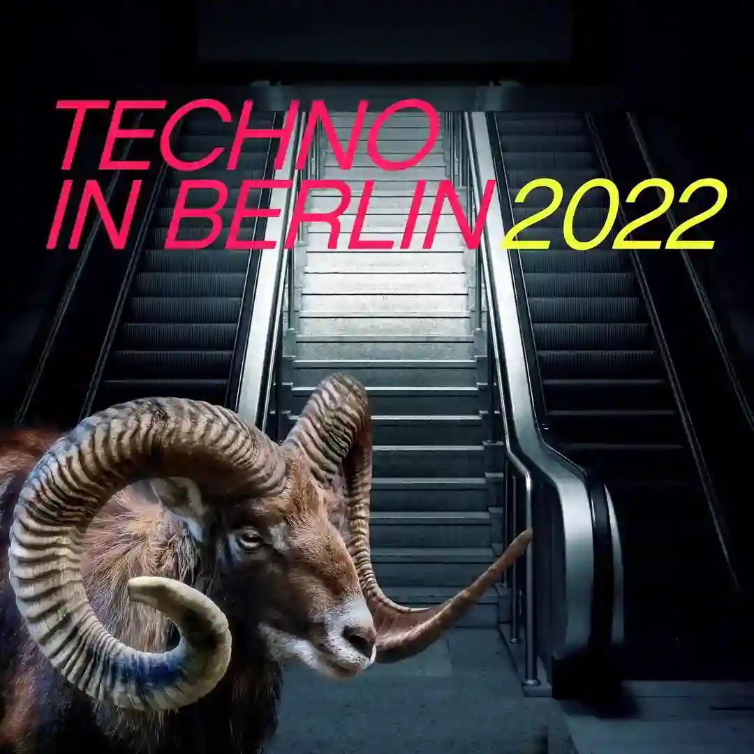 Dondolo cover