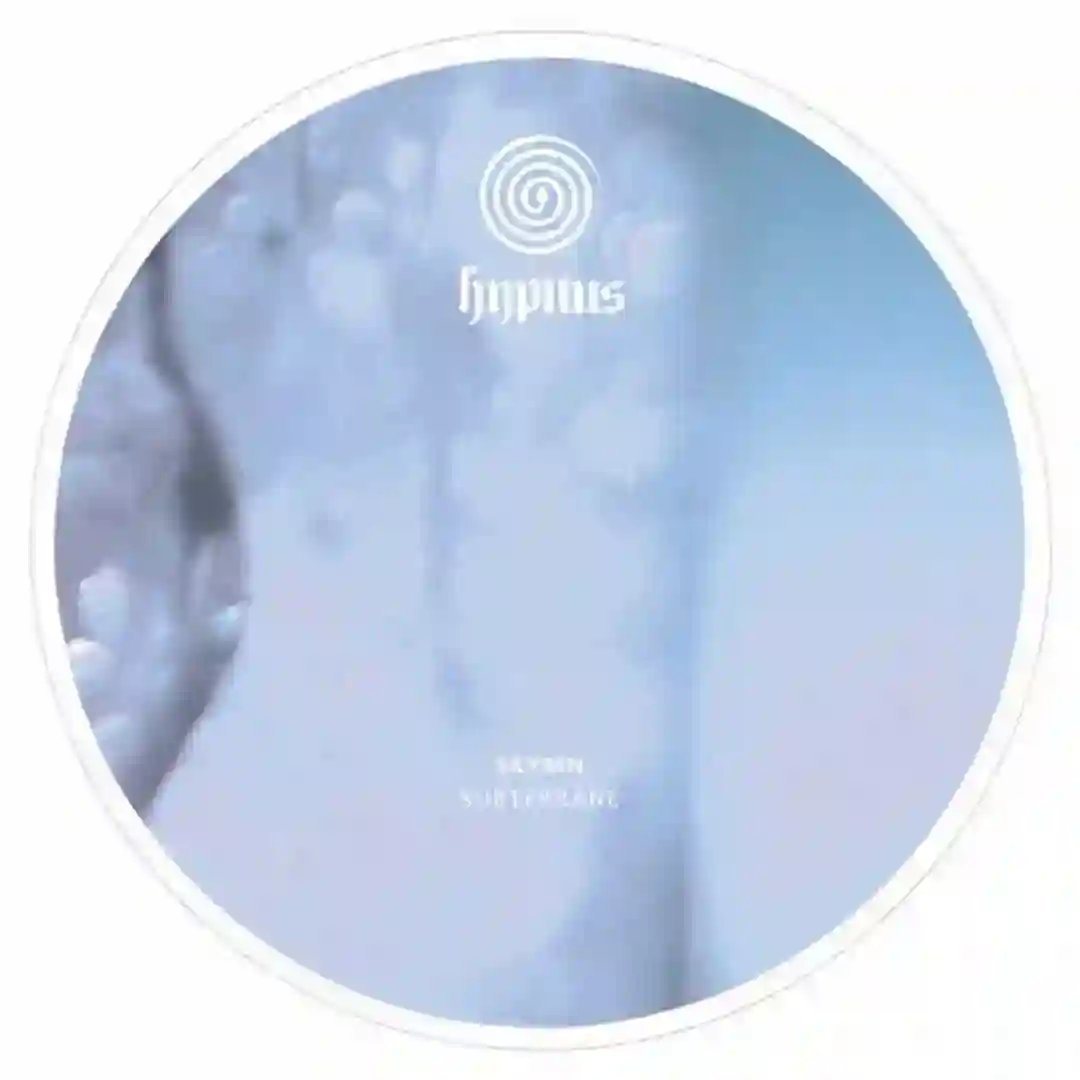 Subterrane 3 (Original Mix) cover