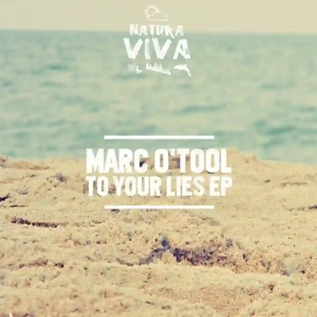 To Your Lies (Original Mix) cover
