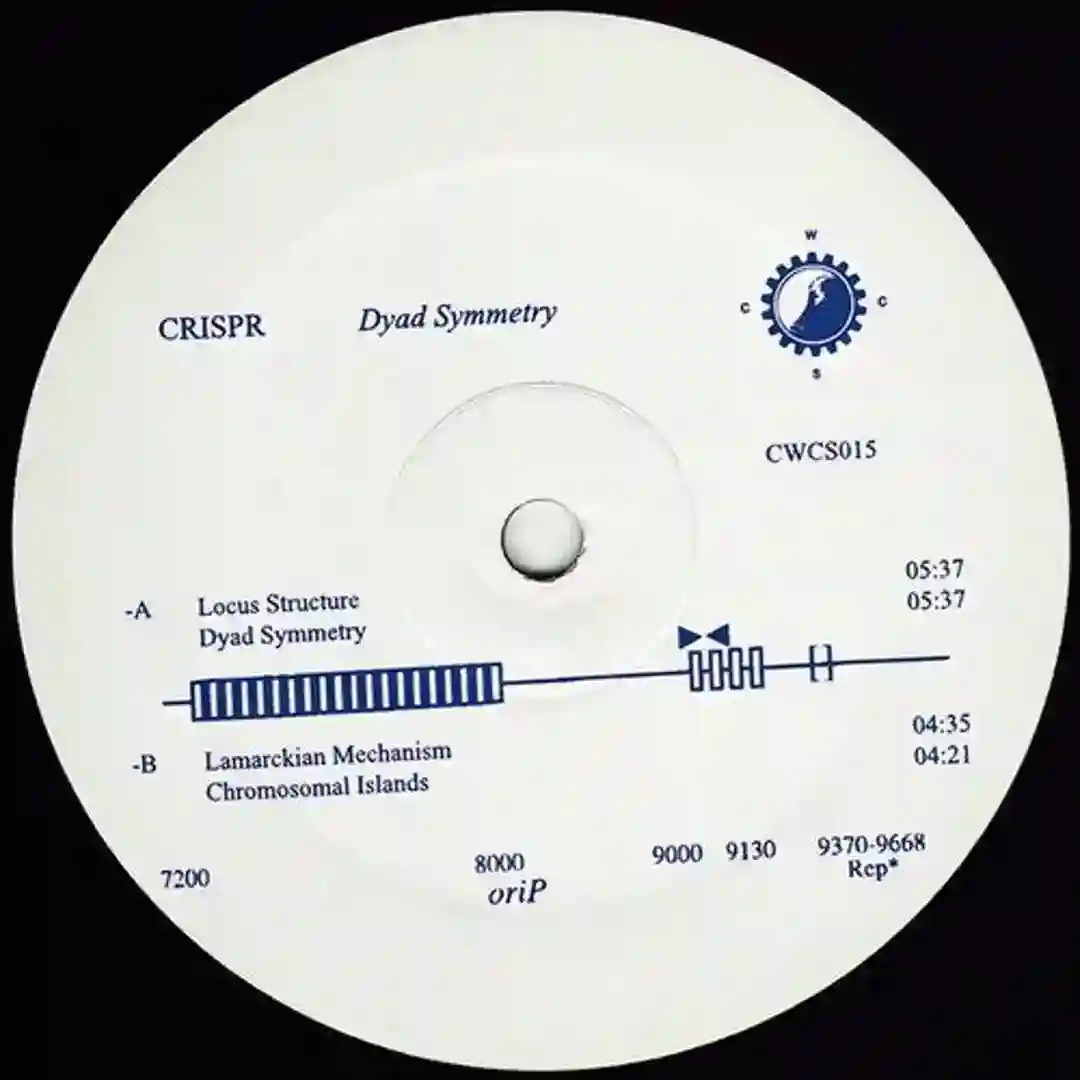 Chromosomal Islands (Original Mix) cover