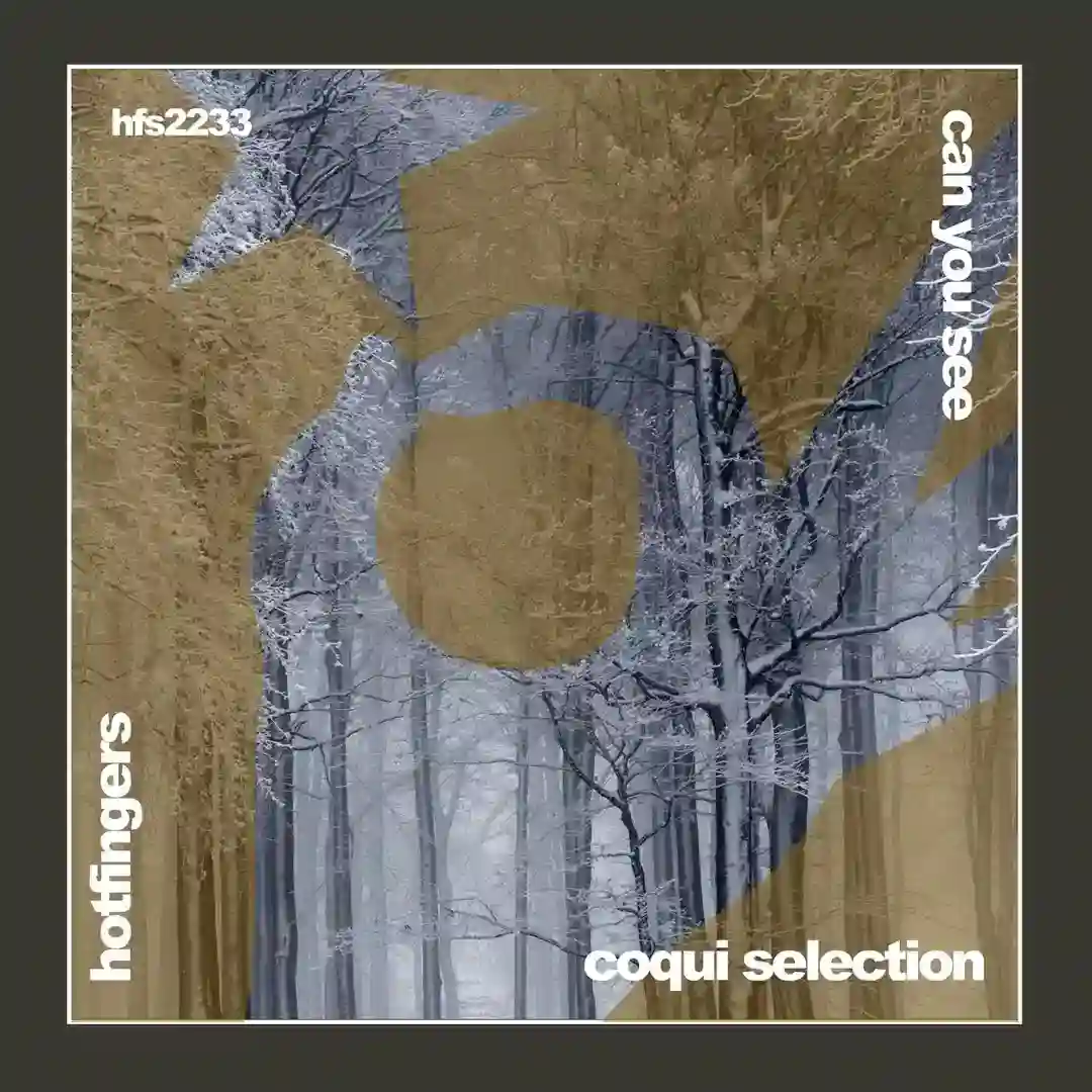 Can You See (Original MIx) cover