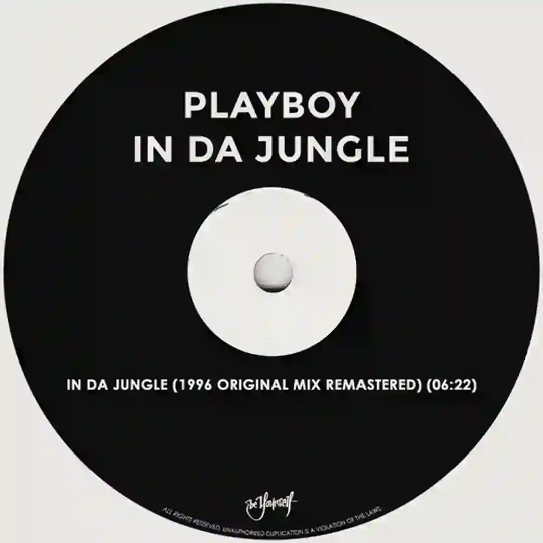 In Da Jungle (Tigrinum Remix) cover