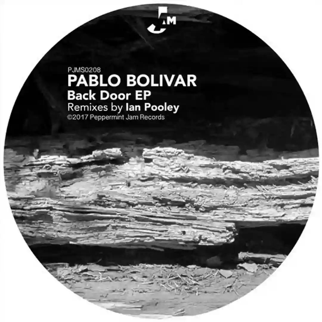 A Special Night (Ian Pooley Main Remix) cover