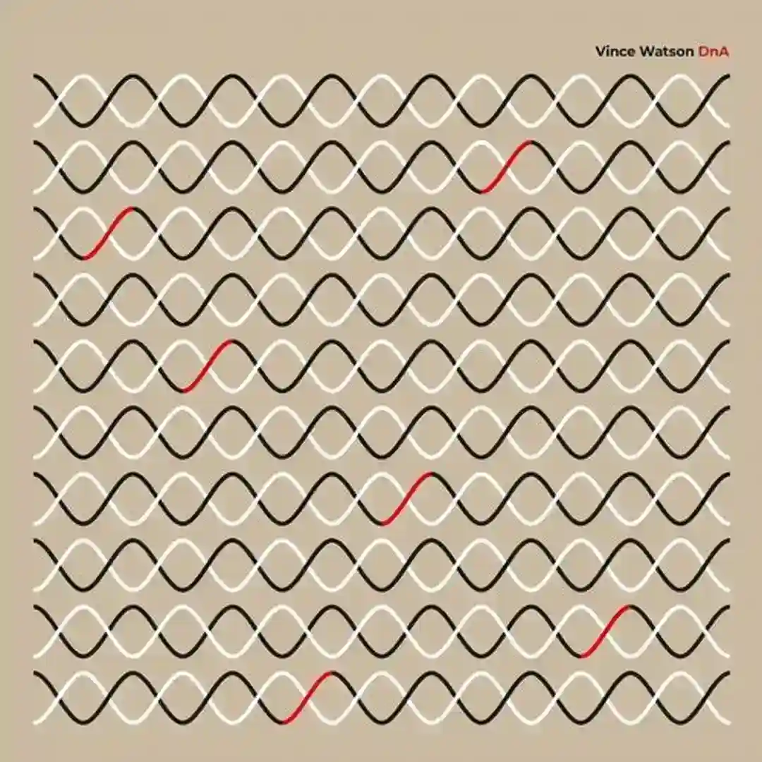 DnA (Original Mix) cover