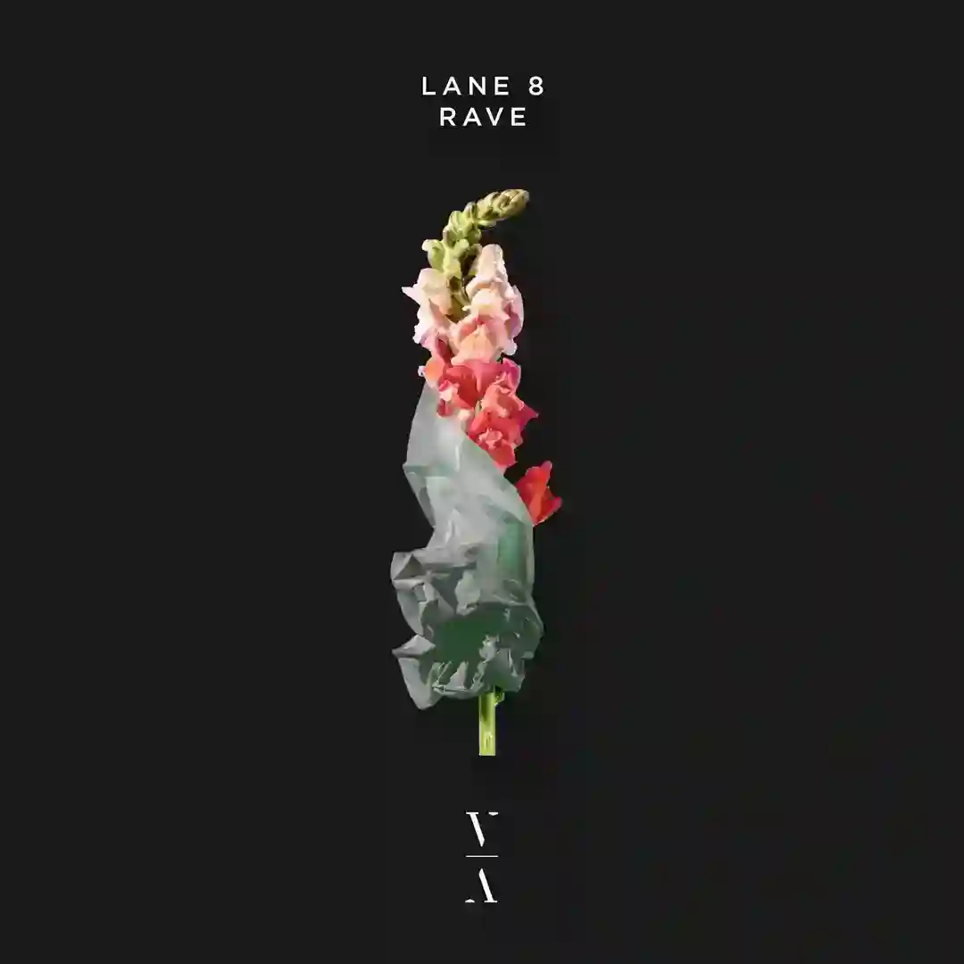 Rave cover