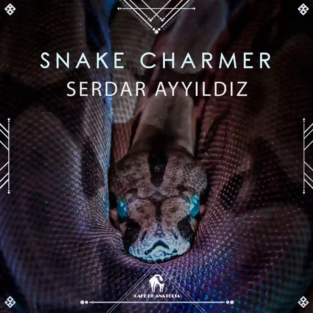 Snake Charmer cover
