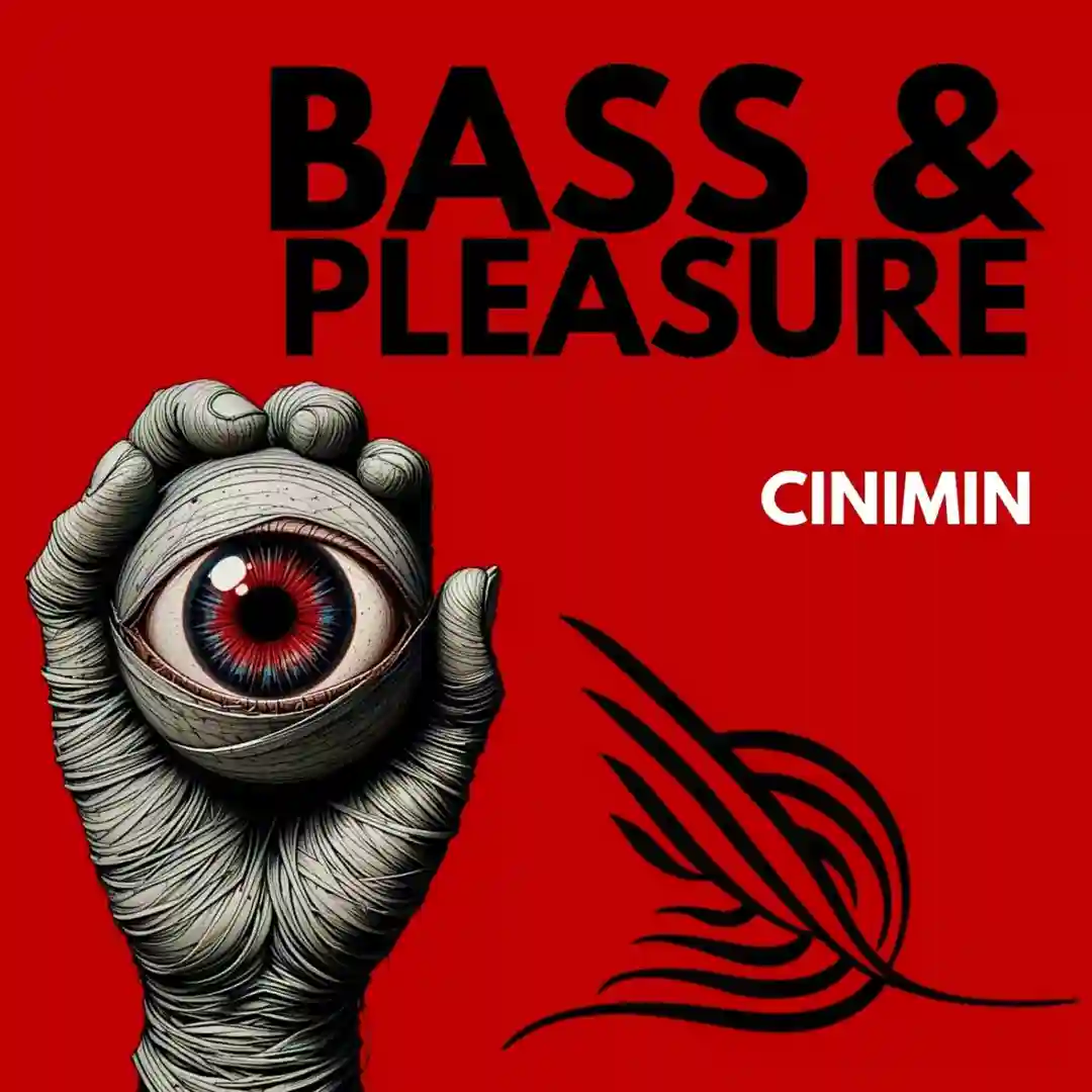 Bass & Pleasure (Extended Mix) cover