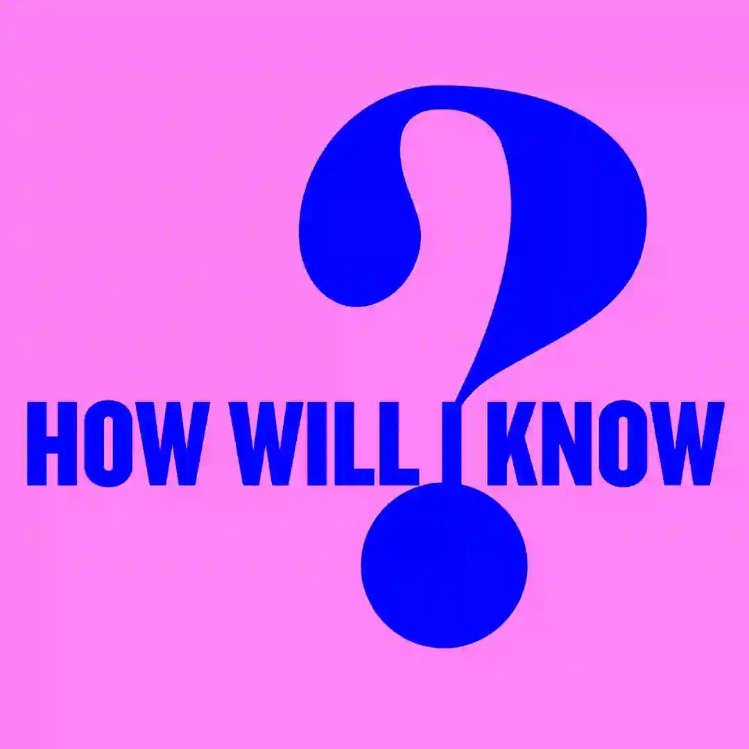 How Will I Know cover