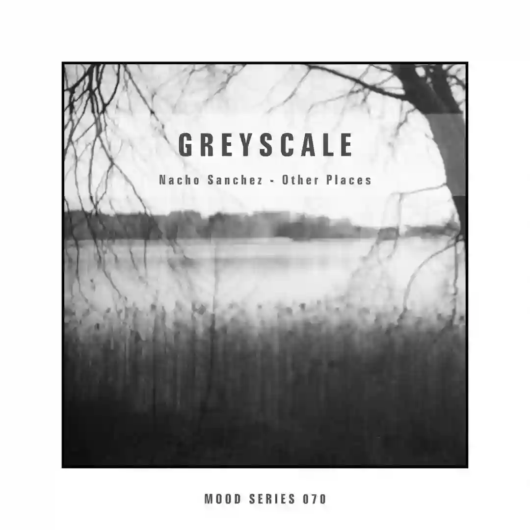 Sygnals cover