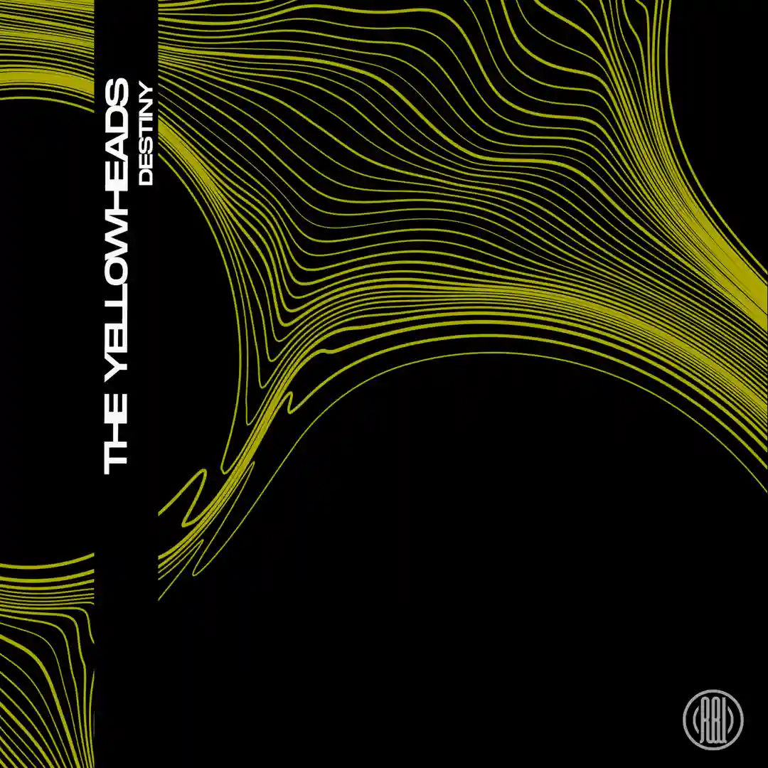 Destiny cover