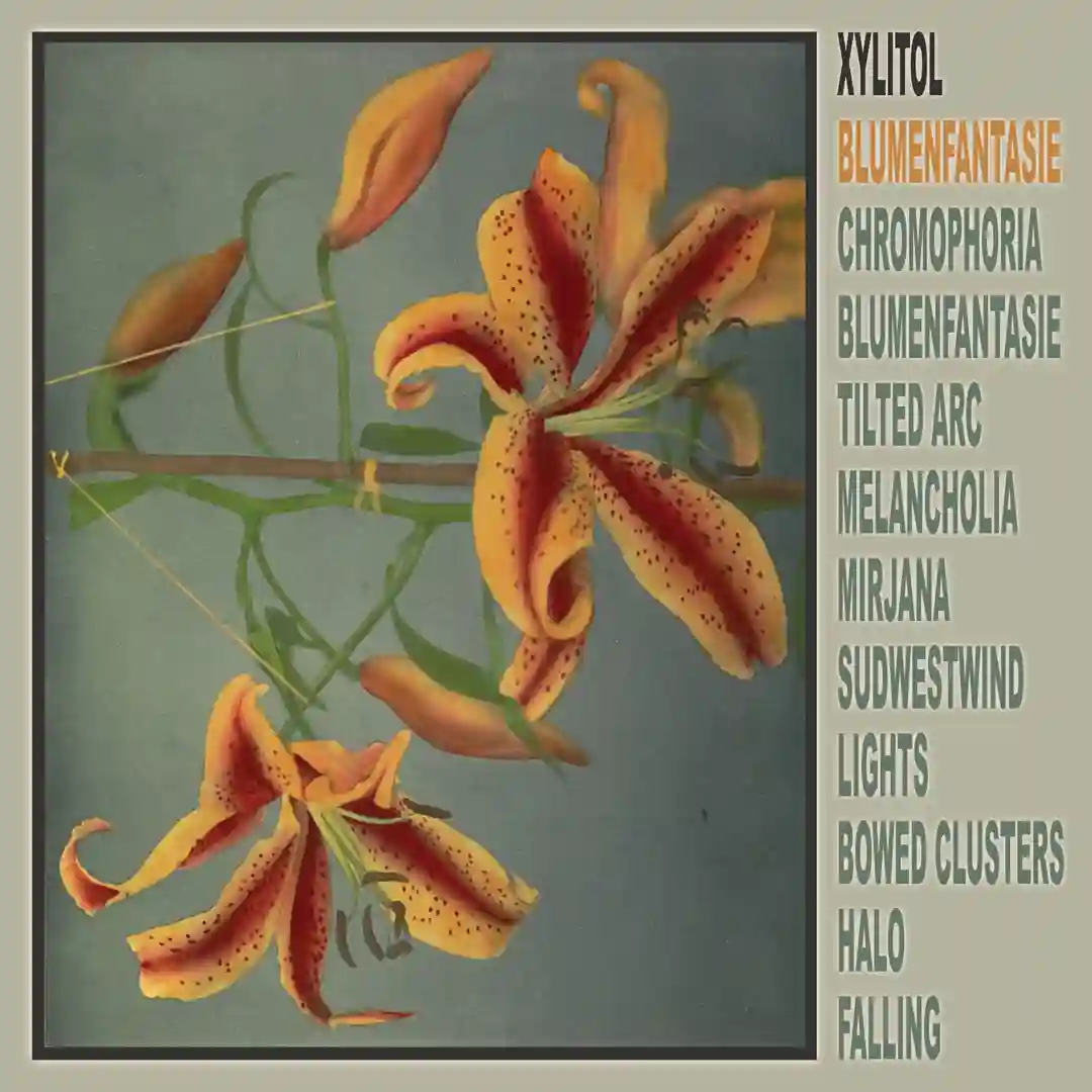 Chromophoria (Original Mix) cover
